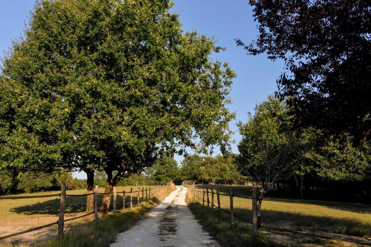 Domaine Verte Vallee Lignan-de-Bordeaux Kültér fotó